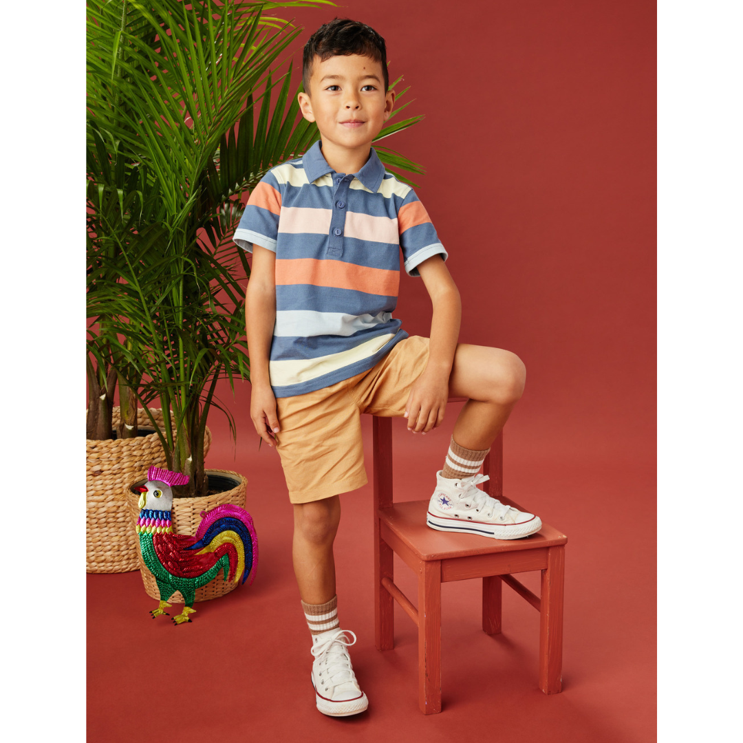 Triumph Striped Polo